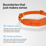 Halo 5 Dog Fence and GPS Dog Collar - Thumbnail 5 of 8