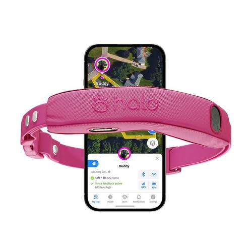 Halo 5 Dog Fence and GPS Dog Collar - Primary Image