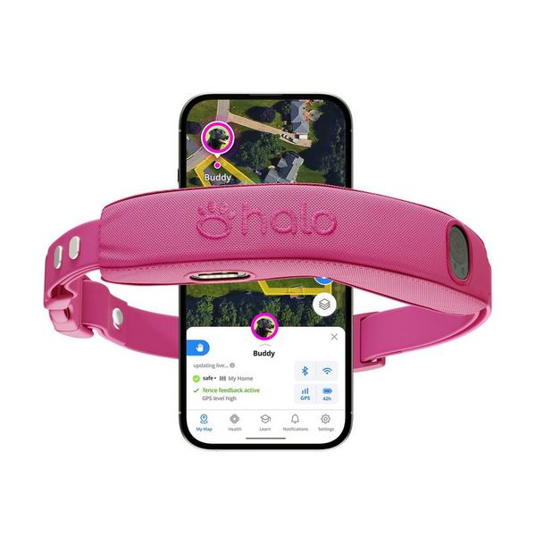 Halo 5 Dog Fence and GPS Dog Collar
