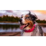 Halo 5 Dog Fence and GPS Dog Collar - Thumbnail 8 of 8