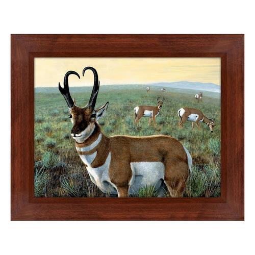 Print & Frame Pronghorns - Primary Image