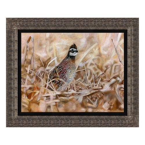 Print & Frame Print of the Year - Forever Quail by Kate Hall - Primary Image