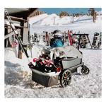 Veer City Cruiser Foldable Storage Basket - Thumbnail 2 of 5