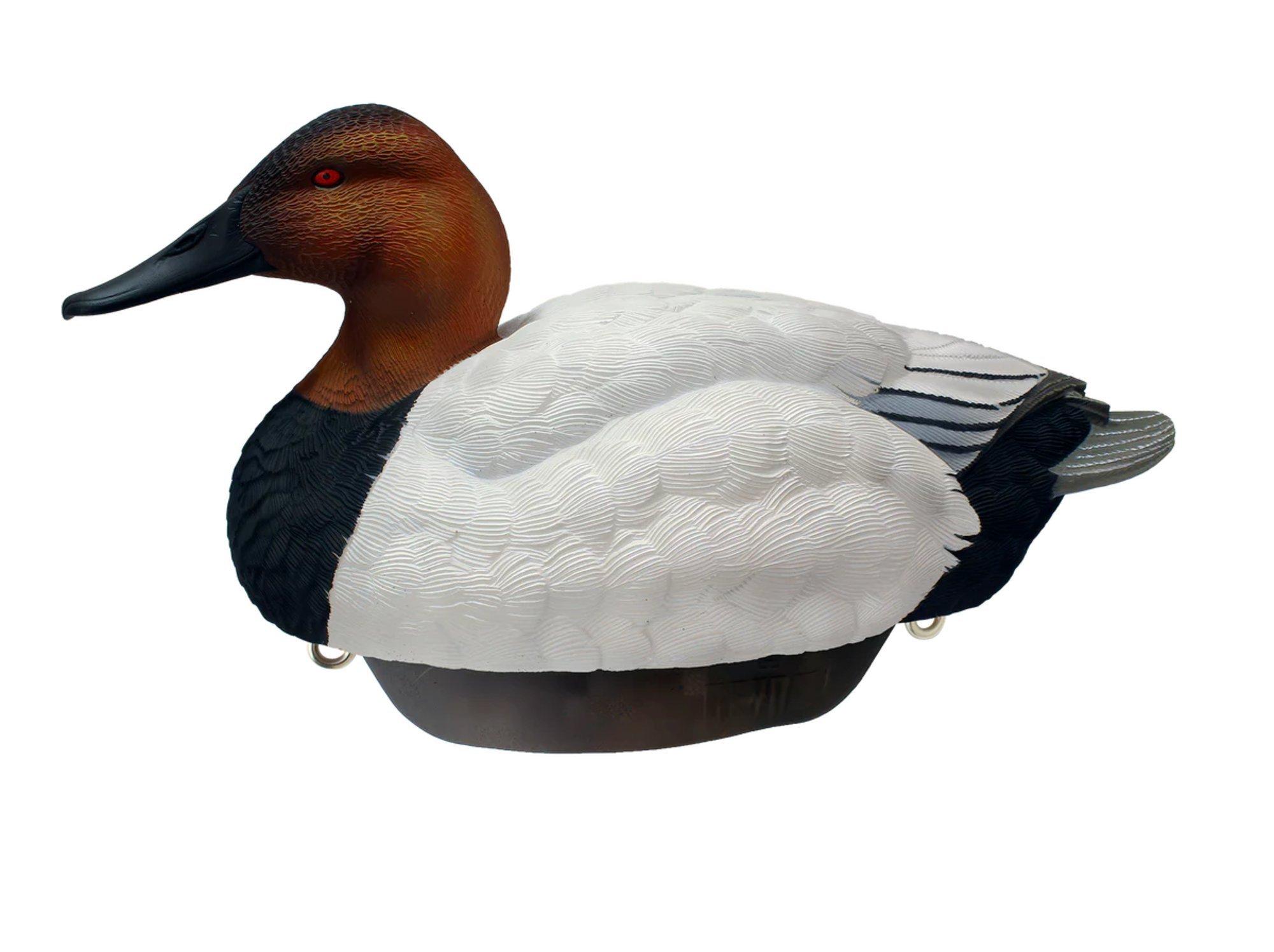 Heyday HydroFoam Canvasback Duck Decoys 6 Pack - Heyday