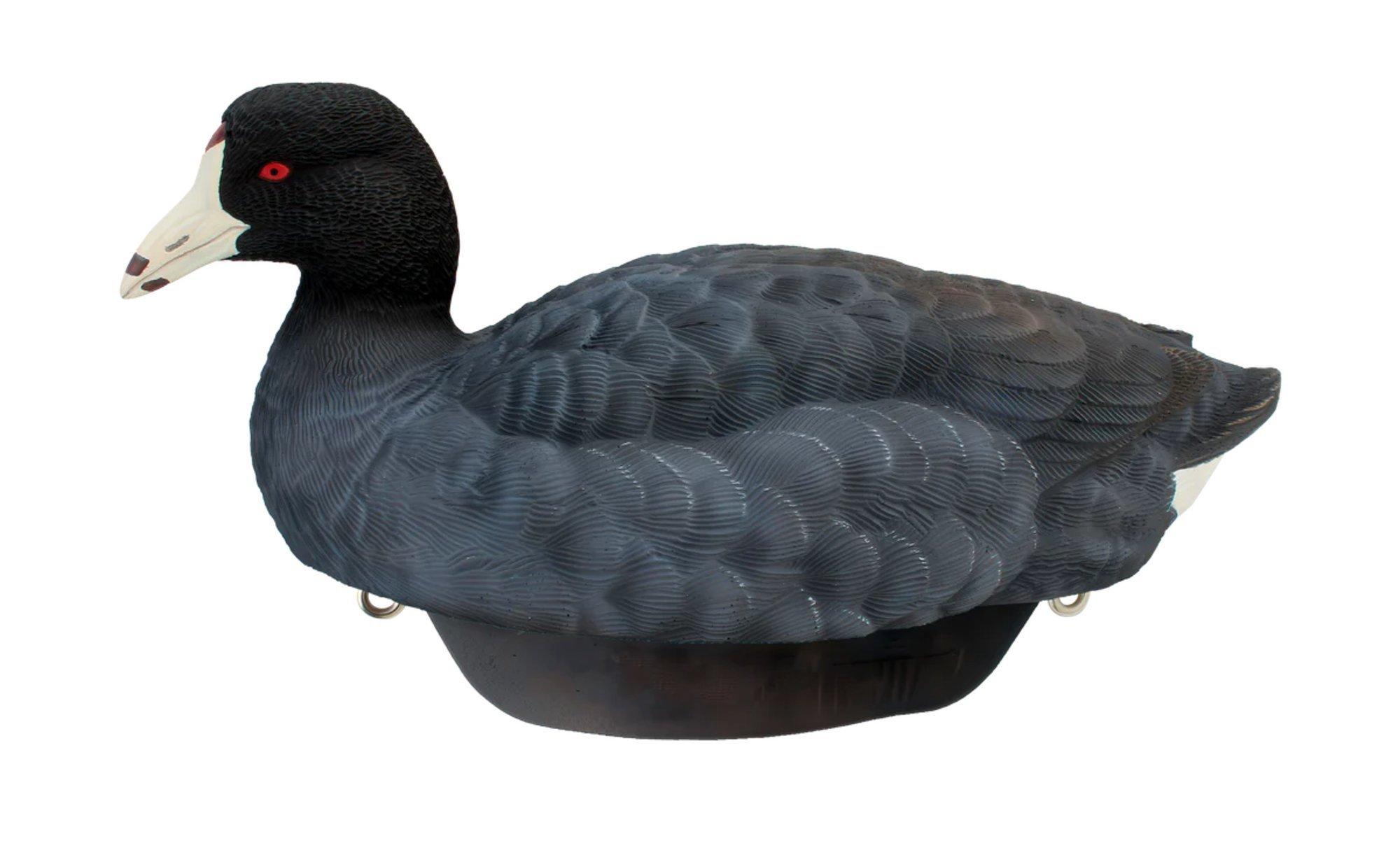 Heyday HydroFoam Coot Decoys 6 Pack - Heyday
