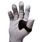 ThumbPRO - Thumbnail 2 of 5