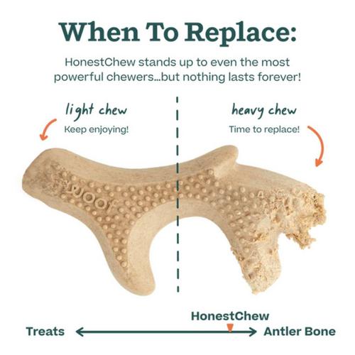 WOOF HonestChew Antler Dog Toy - Primary Image