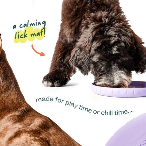 WOOF Fly n' Feed Dog Toy - Primary Image
