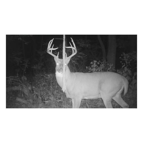 Hodag Hemp Scent Rope System - Primary Image