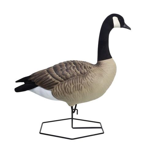 DOA Decoys Rogue Series Canada Goose Mixed 6-Pack