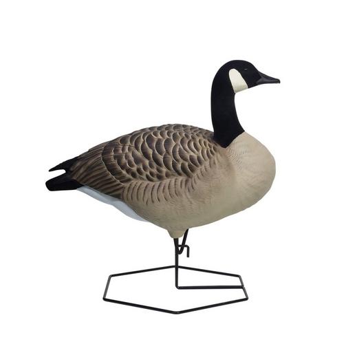 DOA Decoys Rogue Series Canada Goose Mixed 6-Pack