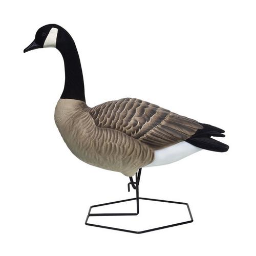 DOA Decoys Rogue Series Canada Goose Mixed 6-Pack