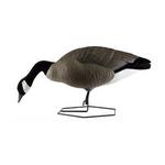 DOA Decoys Rogue Series Feeder Goose 6-Pack - Thumbnail 1 of 2