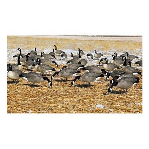 DOA Decoys Rogue Series Feeder Goose 6-Pack - Primary Image