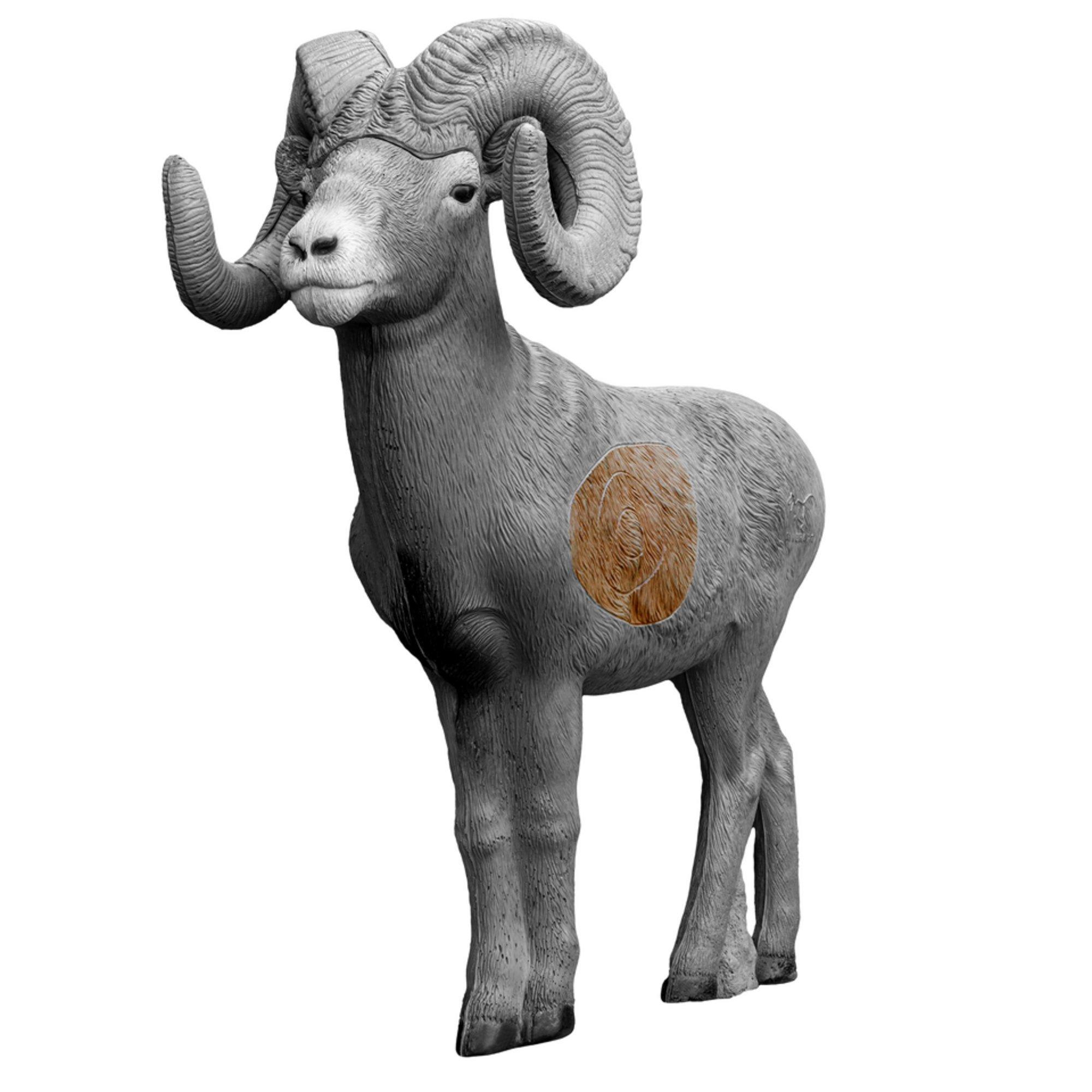 Rinehart Big Horn Sheep Insert