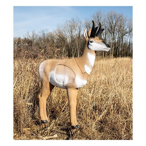 Rinehart Indoor 3D Medium Target Stand - Primary Image