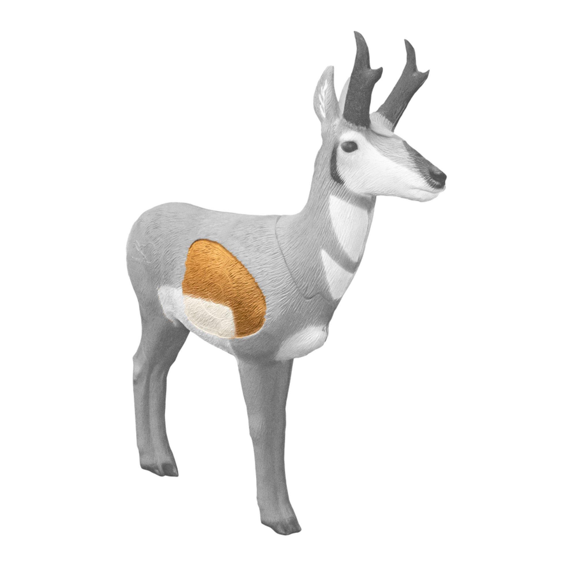 Rinehart Pronghorn Antelope Insert - Rinehart Targets