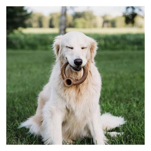 Benebone Bacon Ring Dog Chew - Primary Image