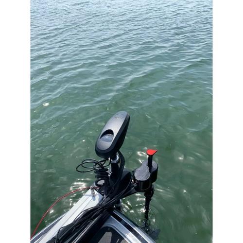 Foresight Forward-Facing Sonar Motorized Pole Mount - Primary Image