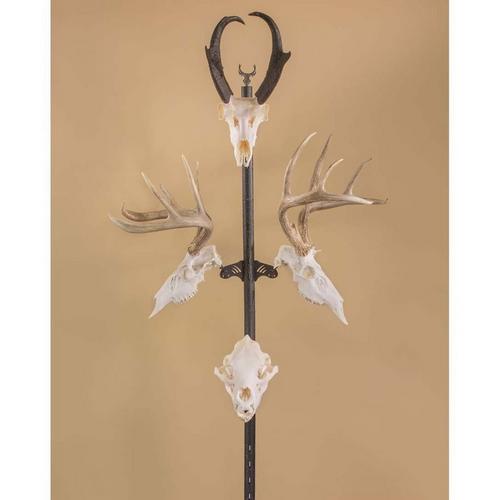 Skull Hooker Trophy Tree - Primary Image