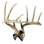 Skull Hooker Bone Bracket Skull Cap Combo - Thumbnail 1 of 2