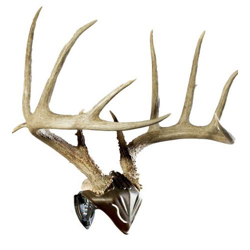 Skull Hooker Bone Bracket Skull Cap Combo - Primary Image