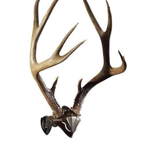 Skull Hooker Bone Bracket Skull Cap Combo - Primary Image