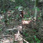 GhostBlind Industries Predator Mirror Ground Blind - Thumbnail 4 of 5