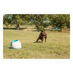 iFetch Too Dog Toy - Thumbnail 4 of 4