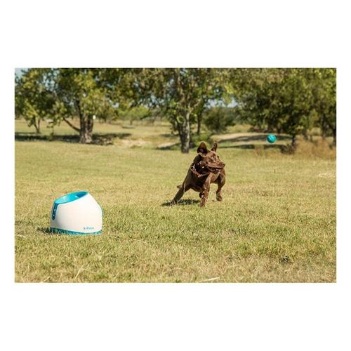 iFetch Too Dog Toy - Primary Image