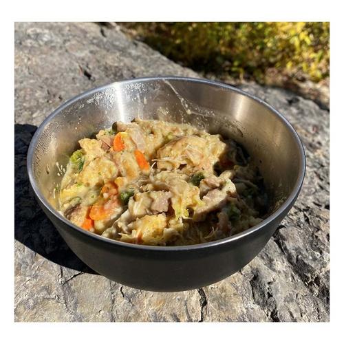 Pinnacle Foods Roasted Chicken And Dumplings Freeze Dried Meal - Primary Image