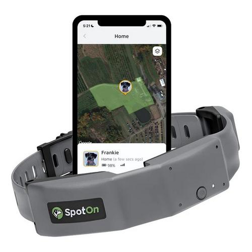 SpotOn GPS Fence Dog Collar - Primary Image