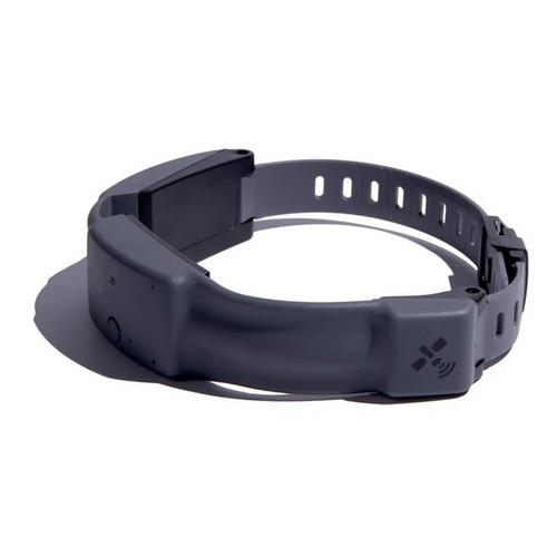 SpotOn GPS Fence Dog Collar - Primary Image