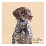 SpotOn GPS Fence Dog Collar - Thumbnail 5 of 6