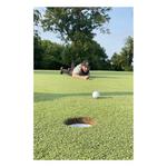 Bad Cards Fore Good Golfers - Thumbnail 7 of 9