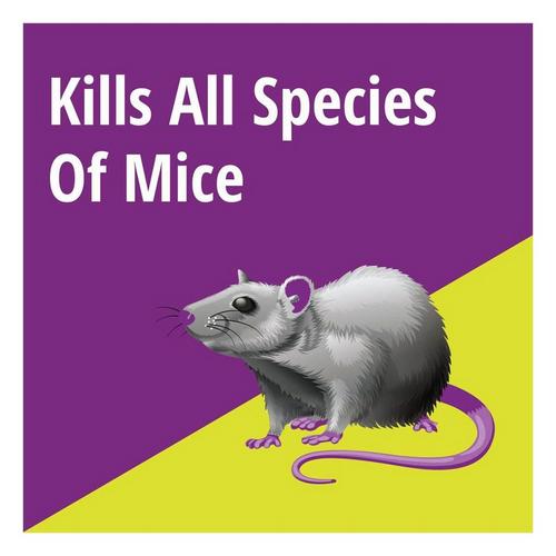 MouseX Non-Toxic Bait Pellets For Mice 8 oz 1 pk - Primary Image