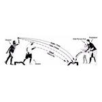 RampShot Backyard Game - Thumbnail 3 of 4