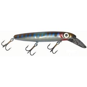 Bait Fish - Joe Bucher DepthRaider 6 in