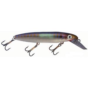Bait Fish - Joe Bucher DepthRaider 8 in