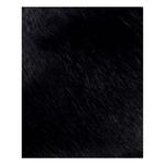 Jordan Black Cat Premium Basketball - Thumbnail 4 of 9