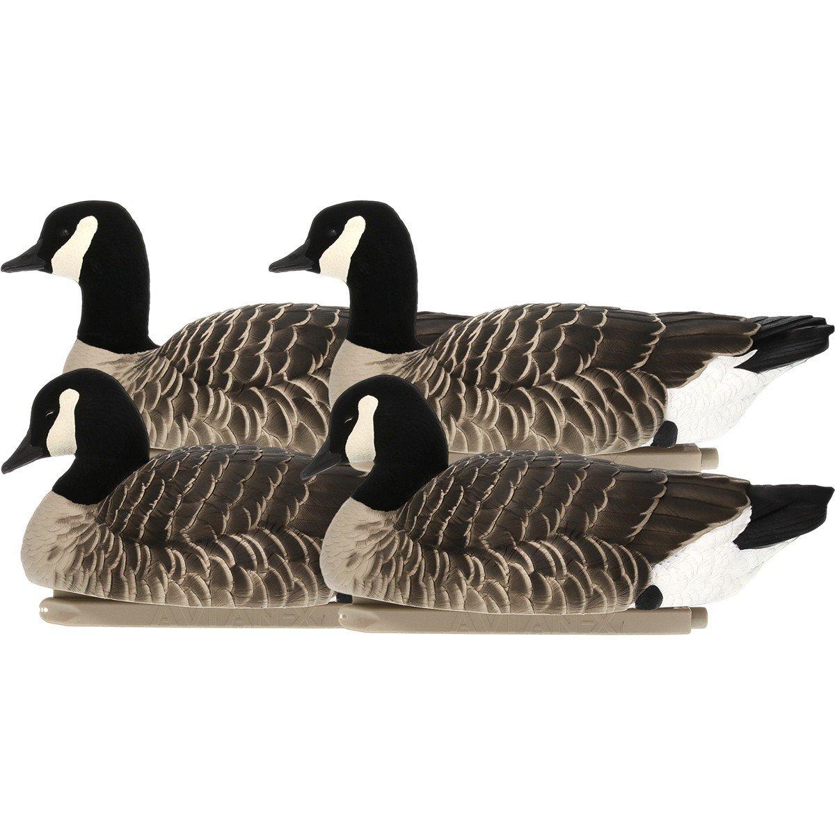 Avian-X Top Flight Goose Decoys - Thumbnail 2