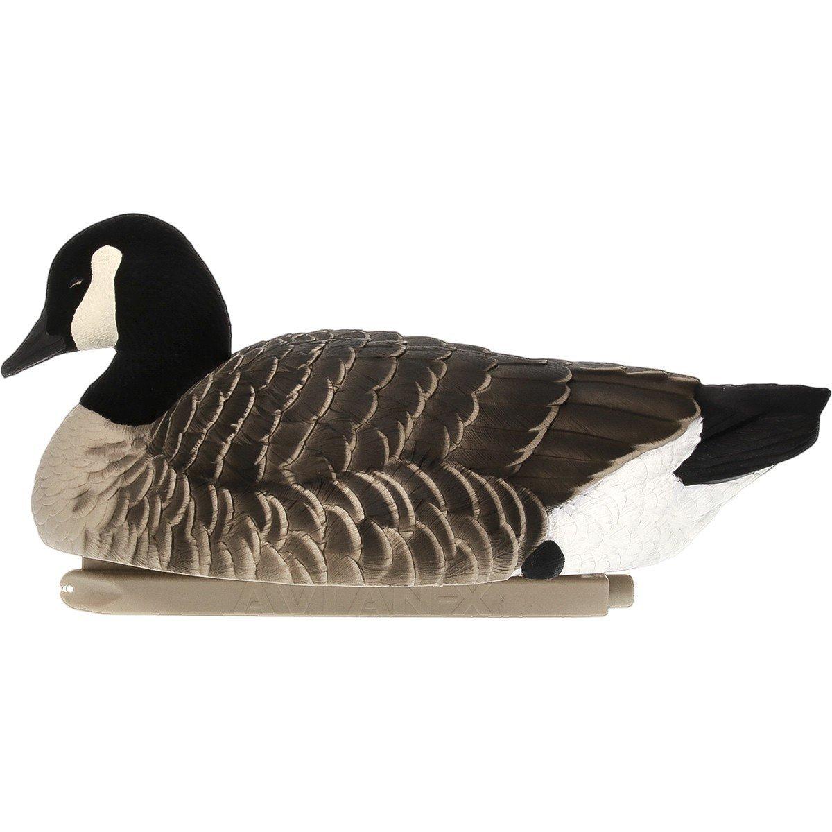 Avian-X Top Flight Goose Decoys - Thumbnail 3