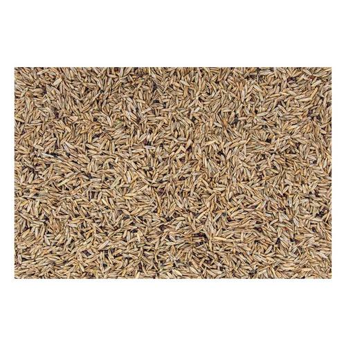 Evolved Harvest Throw & Gro With Clover Food Plot Mix - Primary Image