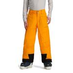 Boys' Obermeyer Parker Snow Pants - Thumbnail 1 of 5