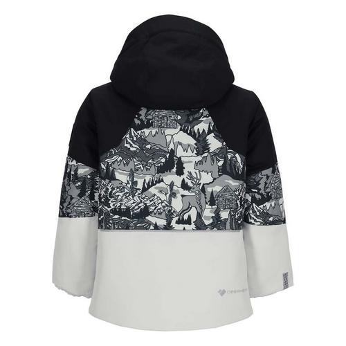 Toddler Boys' Obermeyer Altair 24 Hooded Jacket - Primary Image