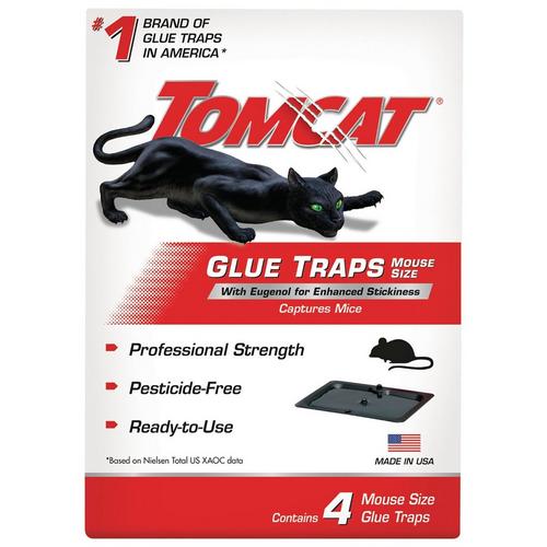 Tomcat Glue Mouse Size Glue Traps - 4 Pack - Primary Image