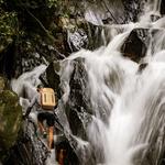 YETI Panga 28L Backpack - Thumbnail 9 of 10