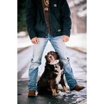 Men's Ariat M2 Stirling Relaxed Fit Bootcut Jeans - Thumbnail 6 of 6