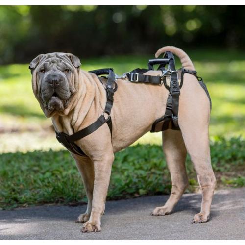 PetSafe CareLift Support Harness - Primary Image