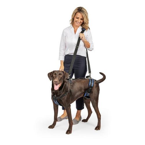 PetSafe CareLift Support Harness - Primary Image